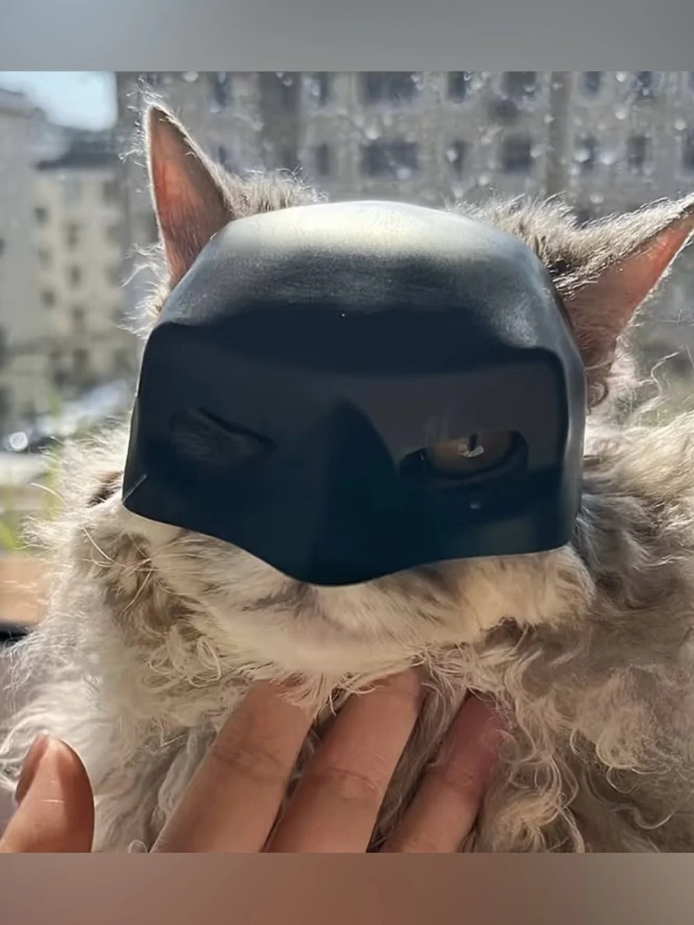 🦇 New! Cat Batman Mask w Strap Feline Superhero Cosplay Cat Costume